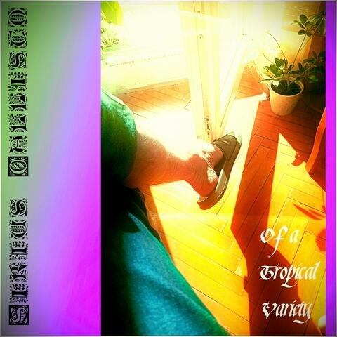 Of a Tropical Variety