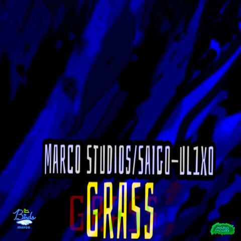 Grass