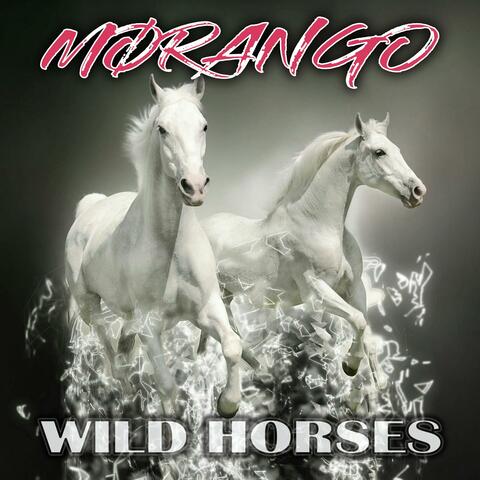 Wild Horses
