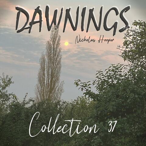 Dawnings: Collection 37