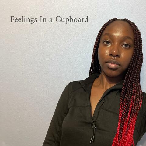 Feelings In a Cupboard