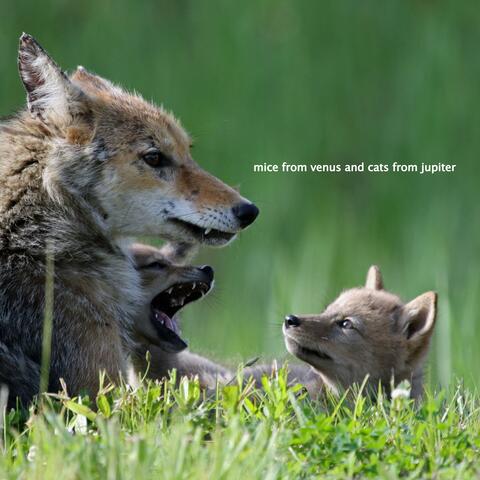 Coyote Tales Premonitions (Vol. 1)