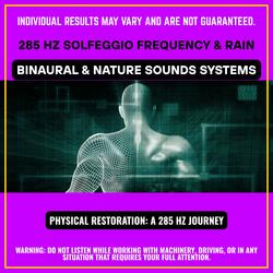 Healing Matrix: 285 Hz for Physical Perfection