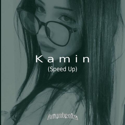 Kamin