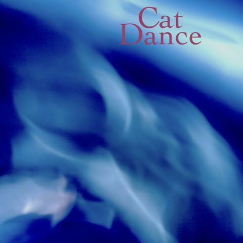 Cat Dance