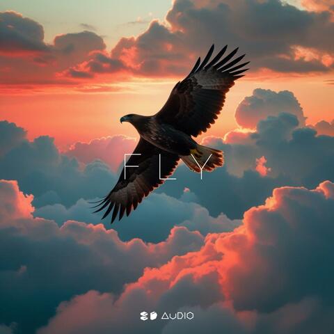 Fly