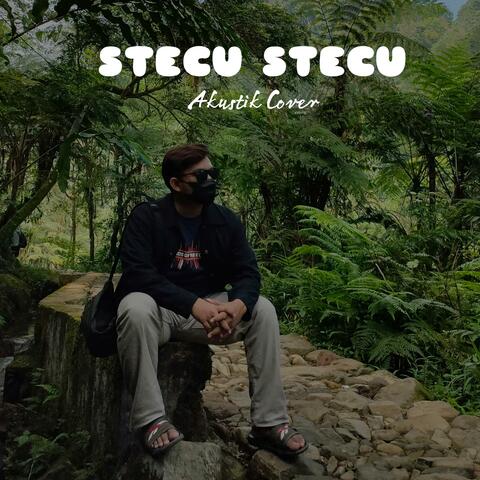 STECU STECU