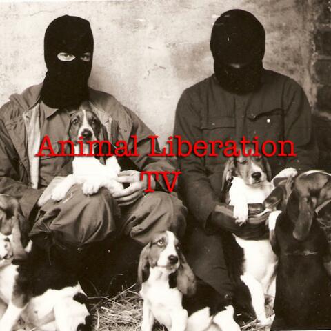 Liberation Not Experimentation