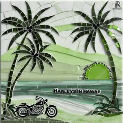 Harleys In Hawaii