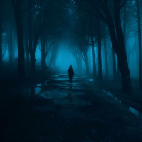 midnight walk