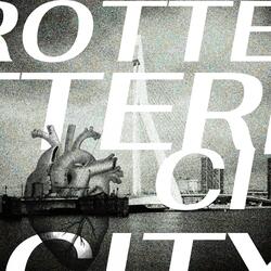 Rotterdam city