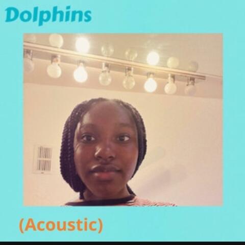 Dolphins