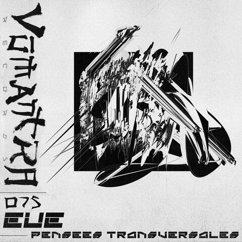 Pensees Transversales