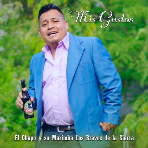Mis Gustos