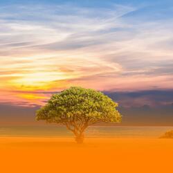 Mindfulness Music For Breathing Exercises And Mental Clarity