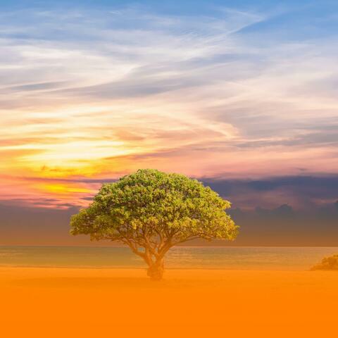 Mindfulness Music For Breathing Exercises And Mental Clarity