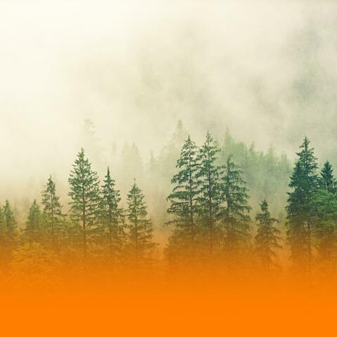 Calming Wellness Music For Anxiety Reduction And Inner Peace