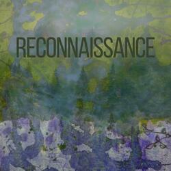 RECONNAISSANCE