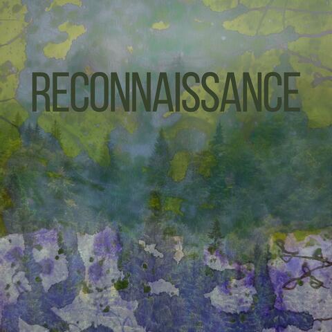 RECONNAISSANCE