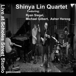 lin/siegel/gilbert/herzog (feat: Ryan Siegel, michael gilbert & asher herzog)