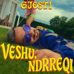 VESHU, NDRREQI