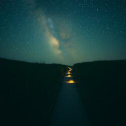 Unfollowed Roads