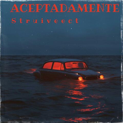 ACEPTADAMENTE