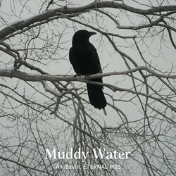 Muddy Water