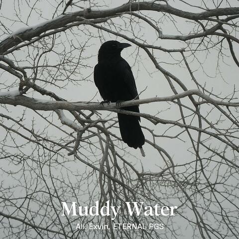 Muddy Water