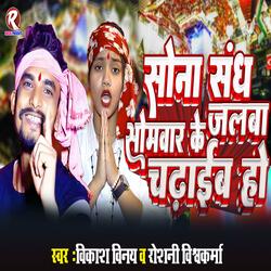 Sona Sang Somwar Ke Jalba Chadhaib Ho