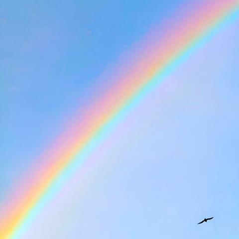 No Rainbow Without the Rain