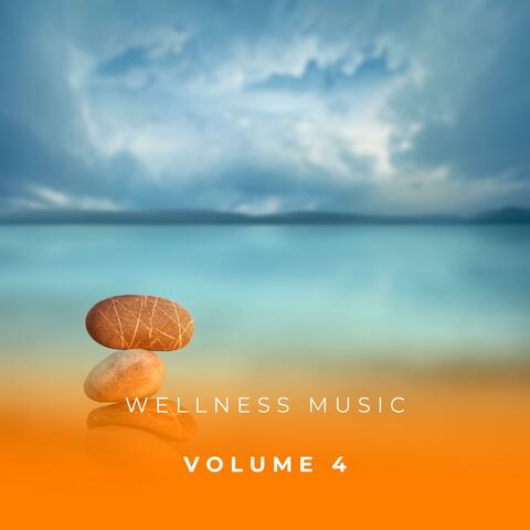 Wellness Music Vol. 4