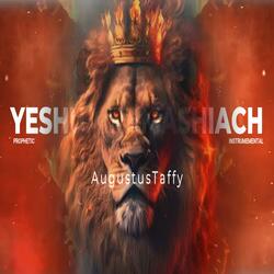 Yeshua Hamashiach