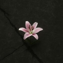 Grace over Grudges