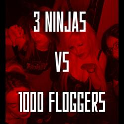 3 NINJAS VS 1000 FLOGGERS