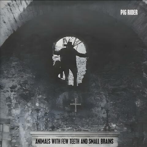 Animals with Few Teeth and Small Brains