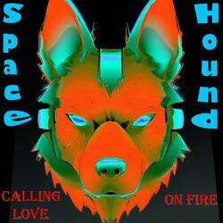 Calling Love on Fire