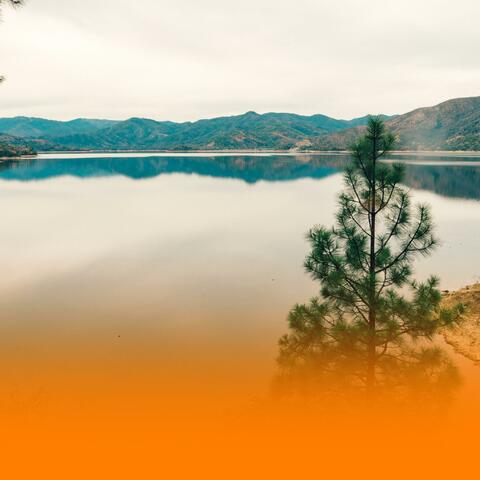 Relaxing Wellness Music for Spa And Emotional Healing