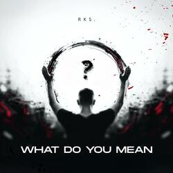 What Do You Mean?