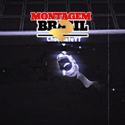 MONTAGEM BRASIL 2