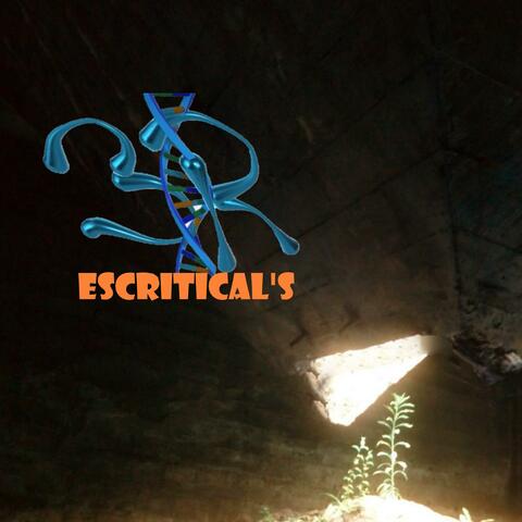 ESCRITICAL