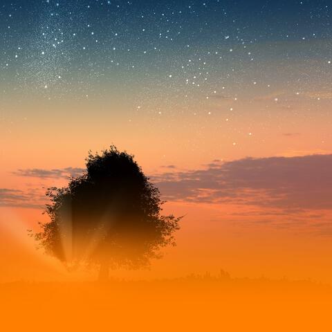 Soothing Relaxing Wellness Music For Anxiety And Calm Energy