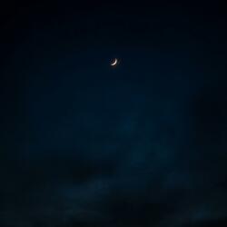 dreamy night