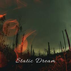 Static Dream