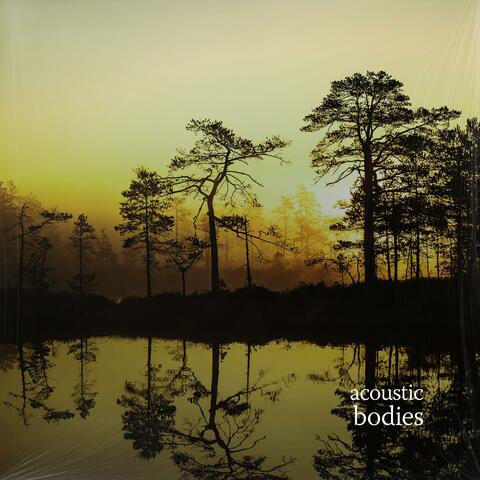 bodies