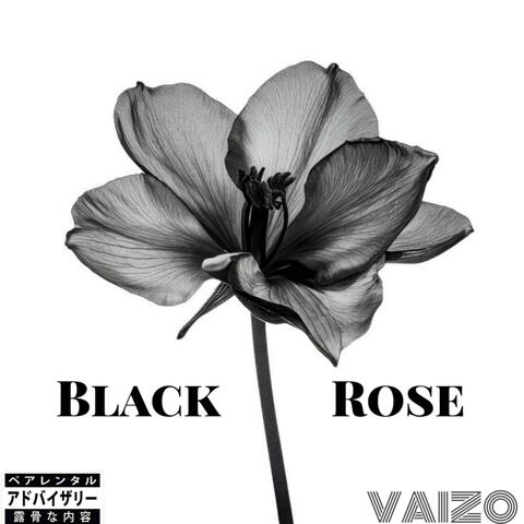 Black Rose