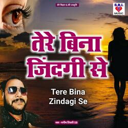 Tere Bina Zindagi Se
