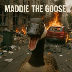 Maddie The Goose