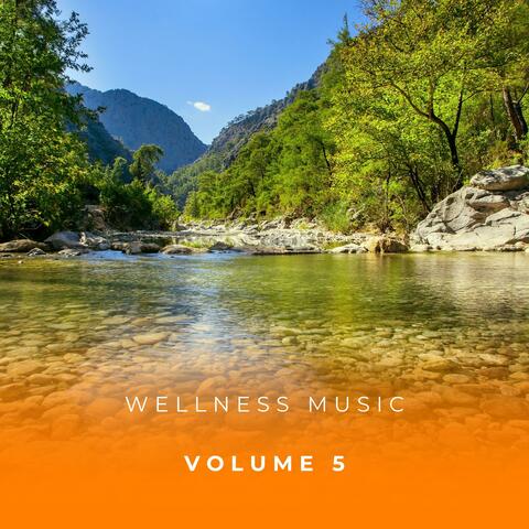 Wellness Music Vol. 5