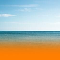 Calming Wellness Music For Deep Relaxation And Emotional Healing